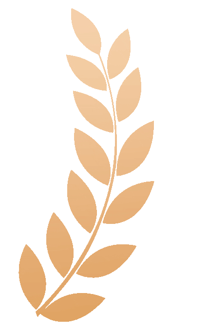 uploads%5Cimages%5C20250701%5Ca278ca48feed3ed2cf2e5dc1a13fe7b5