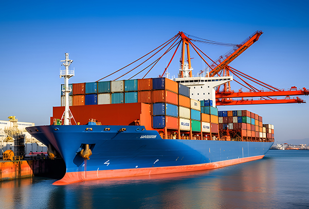 e86e6e52ca158c6ffc7971ccae26cd64