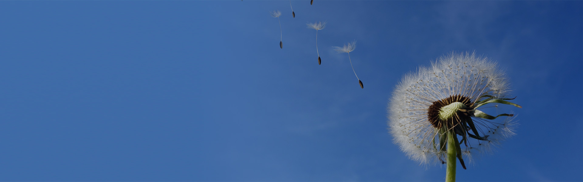 8b2ea89466b8460e3d8b52d291ff05a2